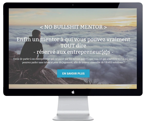 No Bullshit Mentor